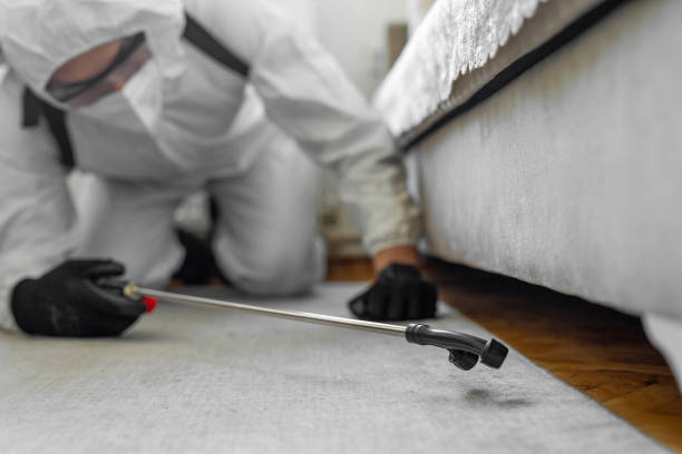 Professional Ant Control technician working in Cedar Creek, TX