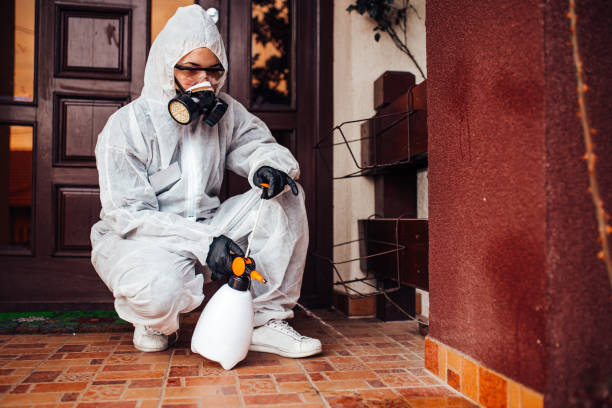 Reliable Ant Control contractor in Cedar Creek, TX by Show Me Pest Control